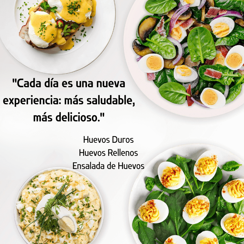 Olla Eléctrica para Huevos
